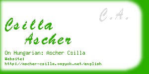 csilla ascher business card